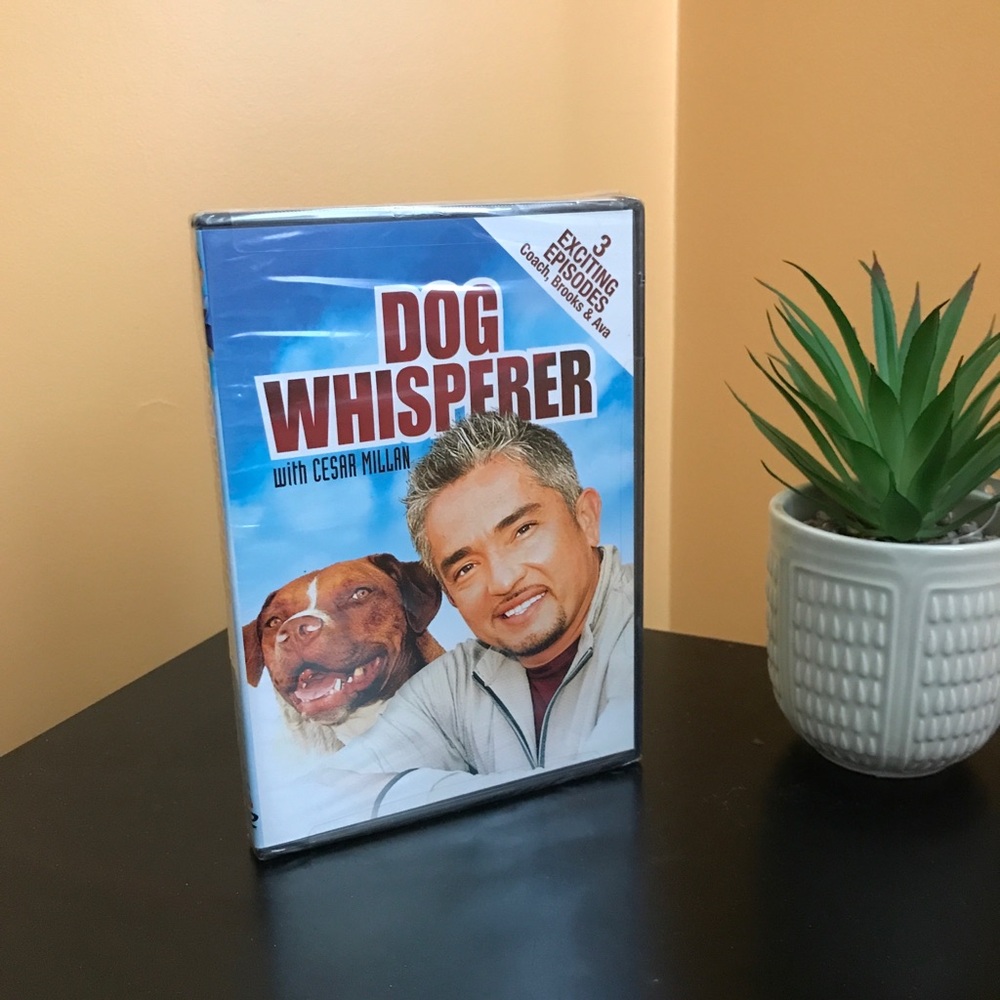 Dog Whisperer 3 Episodes Coach Brooks & Ava Cesar Millan Screen Media DVD Train